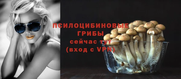 марки nbome Новодвинск