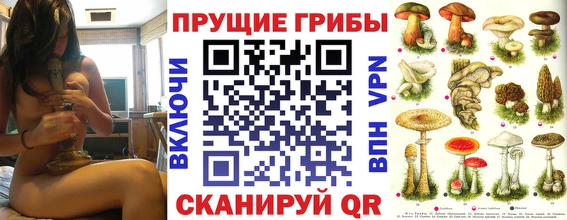 купить наркотик  Муравленко  ссылка на мегу ссылки  Галлюциногенные грибы Psilocybine cubensis 